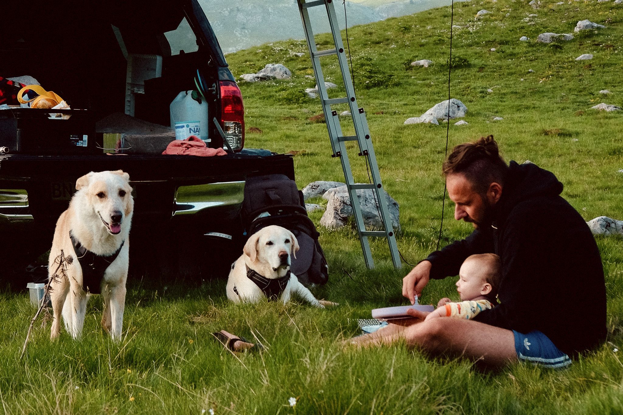 Dachzelt-Familie-Offroad Dachzelt Familie mit Hund Offroad